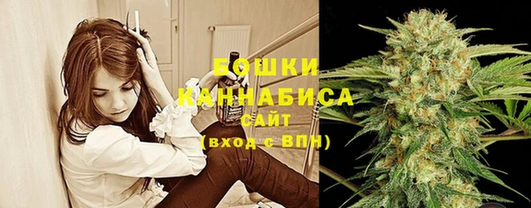 мескалин Осинники
