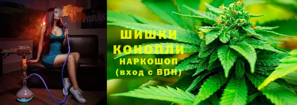 spice Осташков