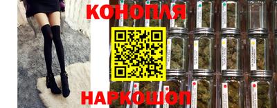 бошки Волгодонск