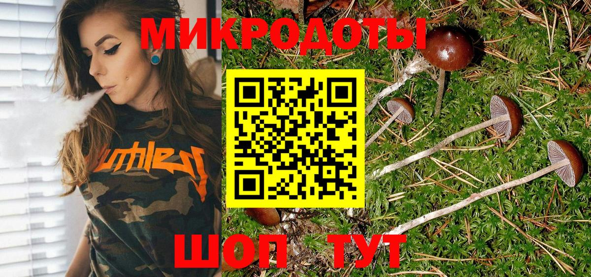 Псилоцибиновые грибы Cubensis Дзержинск